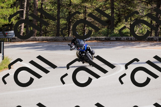 202509131458-_04A9183_c3