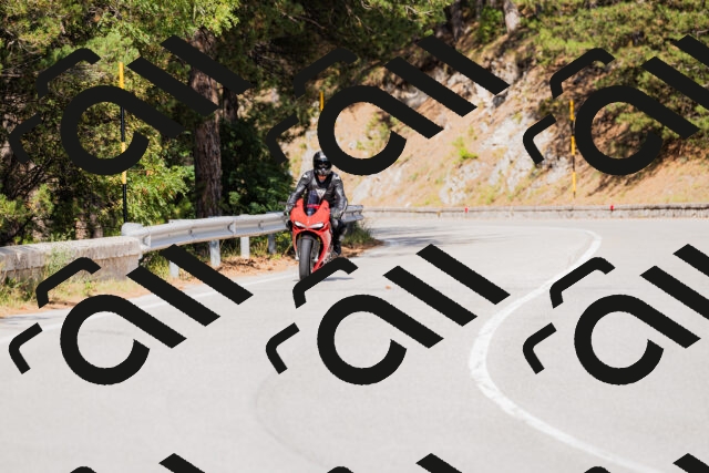 202509131501-_04A9196_c3