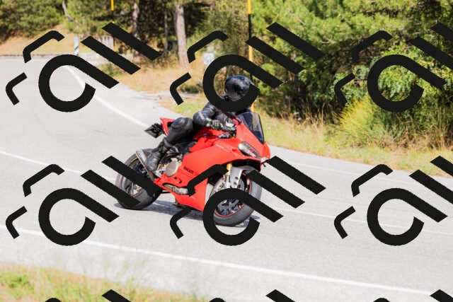 202509131501-_04A9204_c3