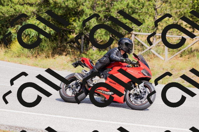 202509131501-_04A9205_c3