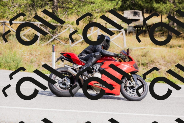 202509131501-_04A9206_c3