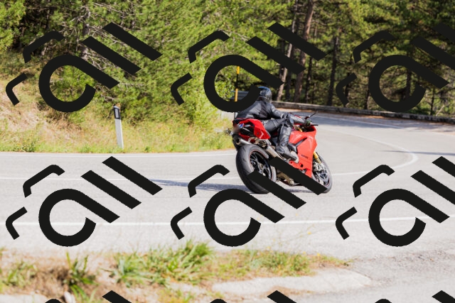 202509131501-_04A9208_c3