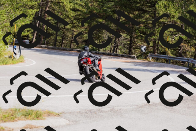 202509131501-_04A9209_c3