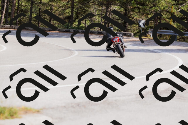 202509131501-_04A9211_c3