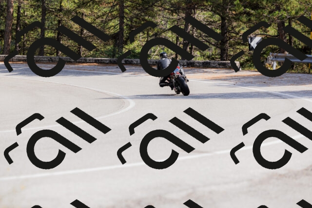 202509131501-_04A9213_c3