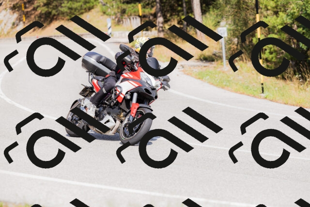 202509131502-_04A9216_c3