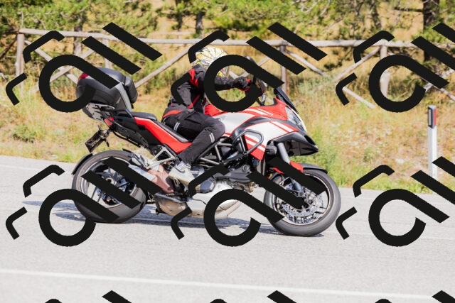 202509131502-_04A9218_c3