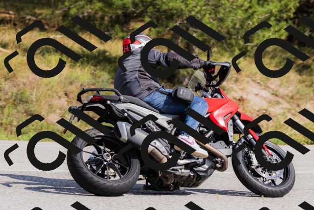 202509131502-_04A9222_c3