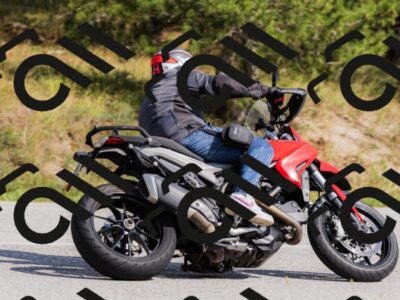 202509131502-_04A9222_c3