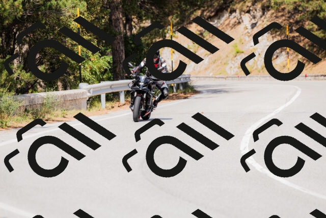 202509131503-_04A9223_c3