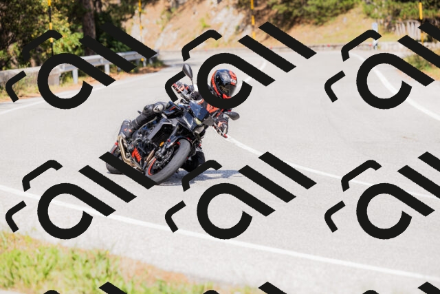 202509131503-_04A9227_c3