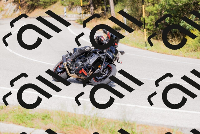 202509131503-_04A9228_c3