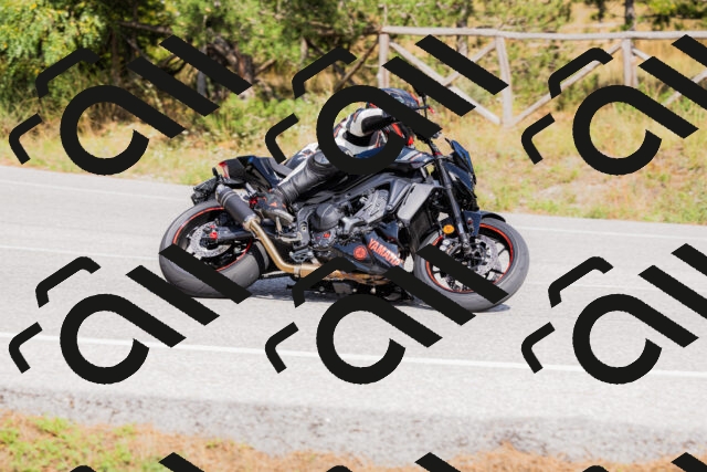 202509131503-_04A9229_c3