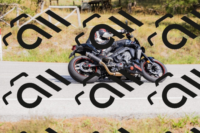 202509131503-_04A9230_c3