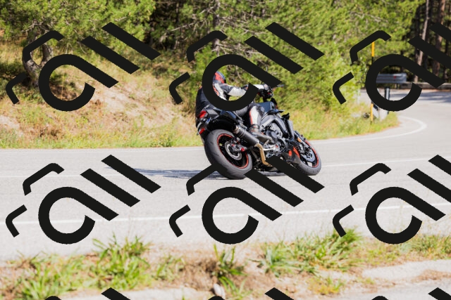 202509131503-_04A9231_c3