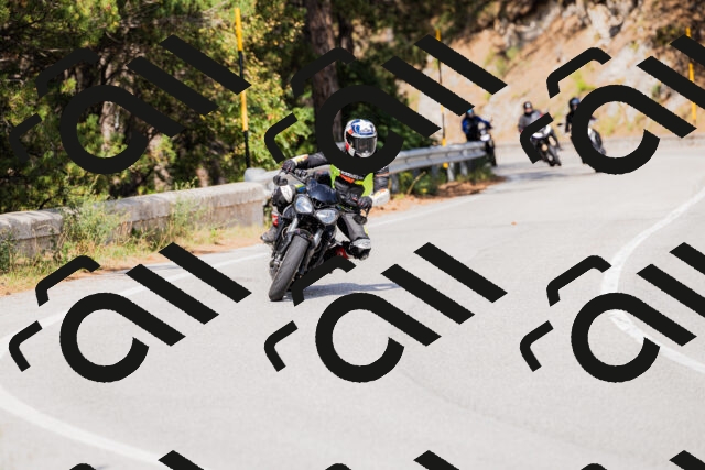 202509131503-_04A9234_c3