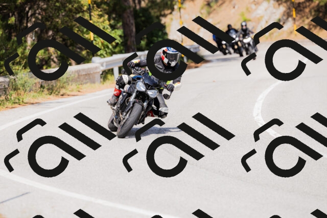 202509131503-_04A9235_c3