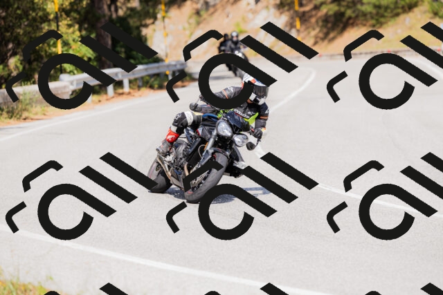 202509131503-_04A9236_c3