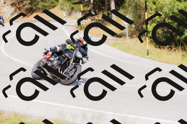 202509131503-_04A9237_c3