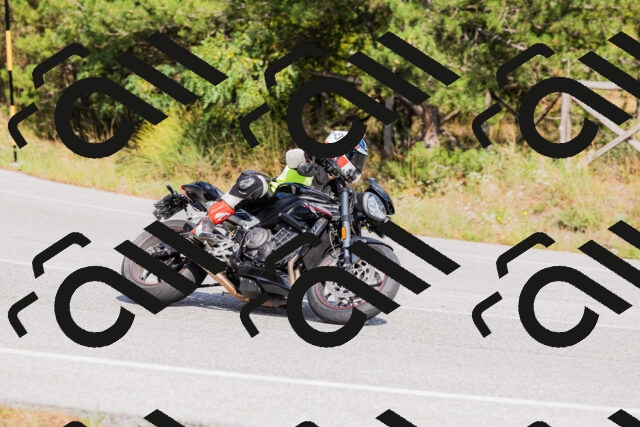 202509131503-_04A9238_c3