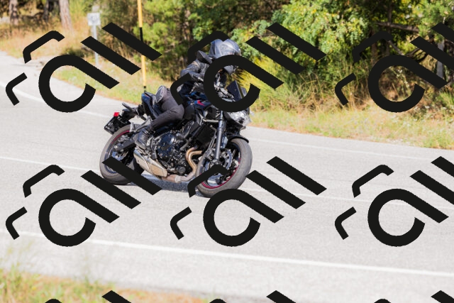 202509131503-_04A9241_c3