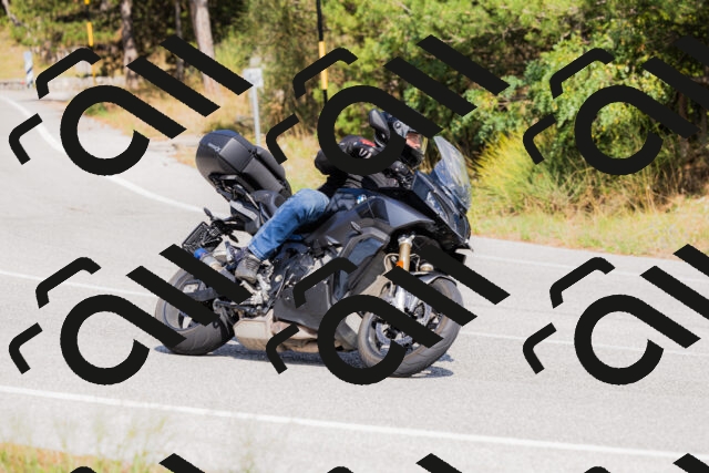 202509131503-_04A9242_c3