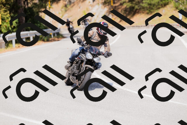 202509131503-_04A9246_c3