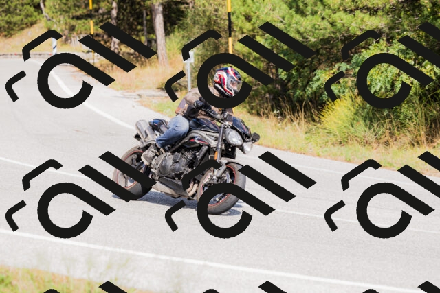 202509131503-_04A9248_c3