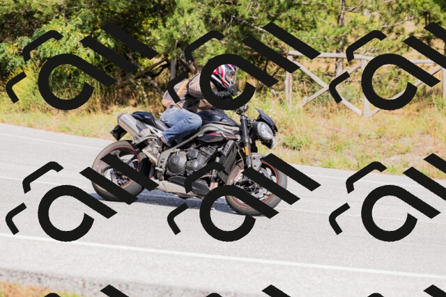 202509131503-_04A9249_c3