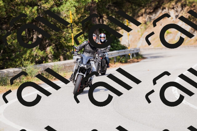 202509131503-_04A9250_c3