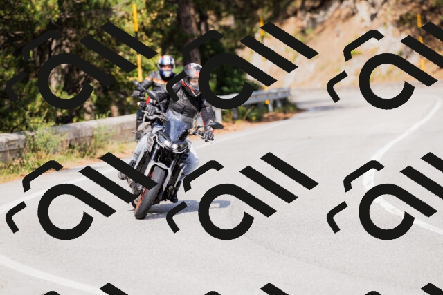 202509131503-_04A9251_c3