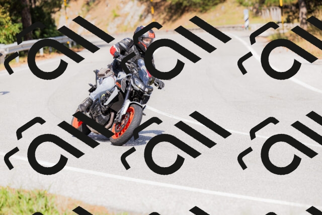 202509131503-_04A9253_c3