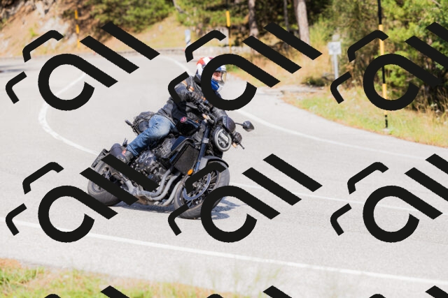 202509131503-_04A9255_c3