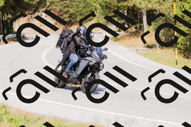 202509131505-_04A9264_c3