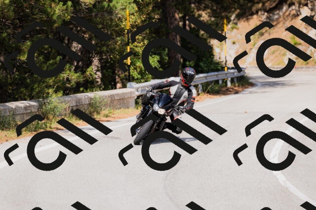 202509131507-_04A9277_c3