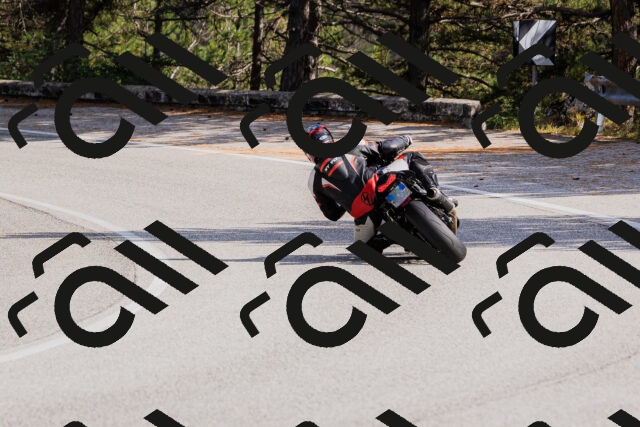 202509131507-_04A9286_c3