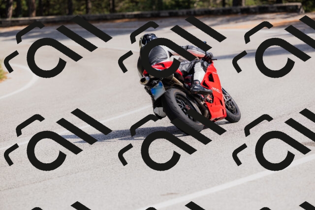 202509131508-_04A9295_c3