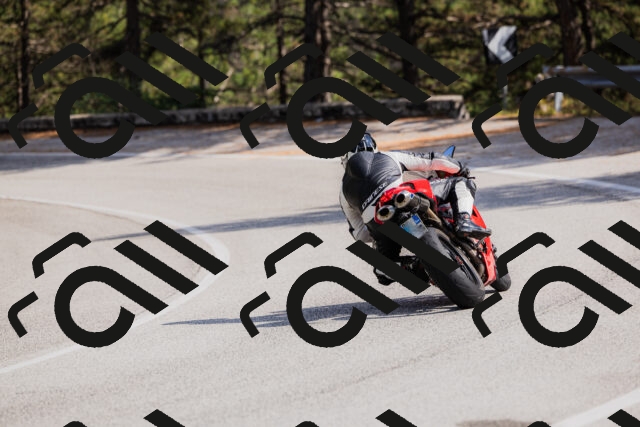 202509131508-_04A9296_c3