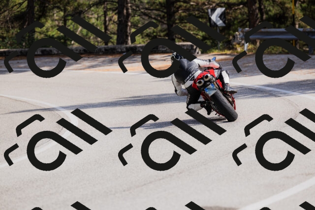 202509131508-_04A9297_c3