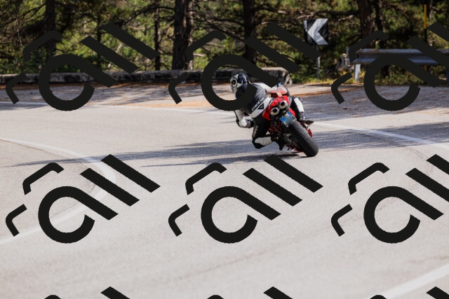 202509131508-_04A9298_c3