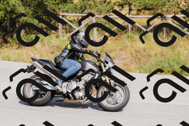 202509131508-_04A9304_c3