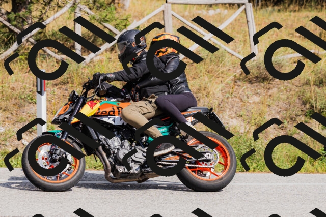 202509131510-_04A9306_c3