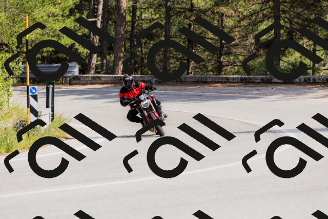 202509131512-_04A9308_c3