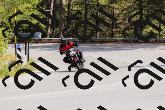 202509131512-_04A9309_c3