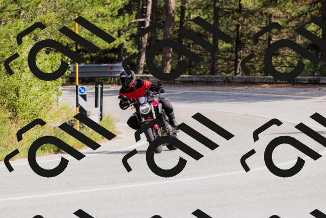 202509131512-_04A9310_c3