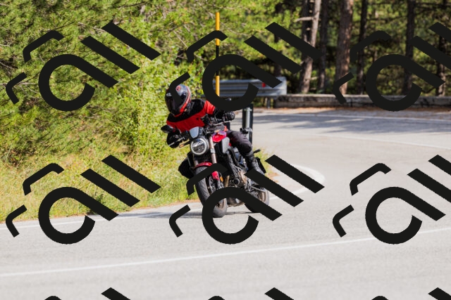 202509131512-_04A9311_c3