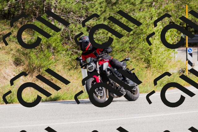 202509131512-_04A9312_c3