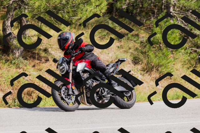 202509131512-_04A9313_c3