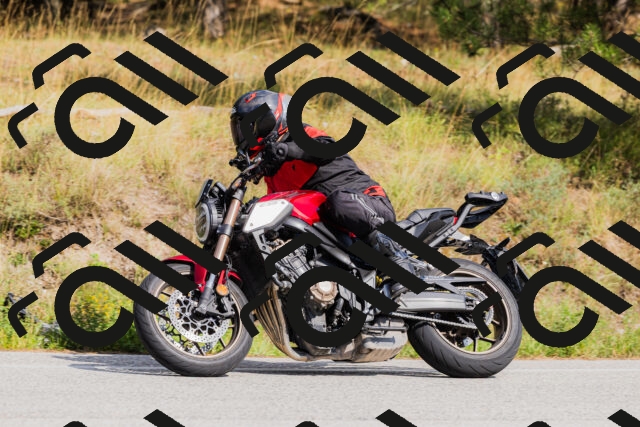 202509131512-_04A9314_c3