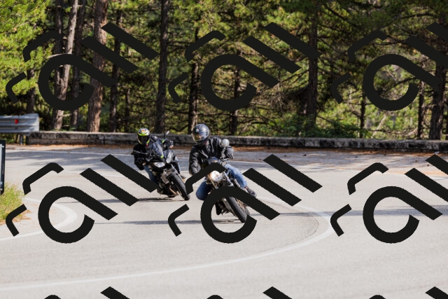 202509131512-_04A9315_c3